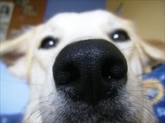 nostek ako profilovka :)